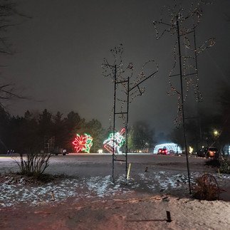 Winter Wonderland at the Northland Arboretum