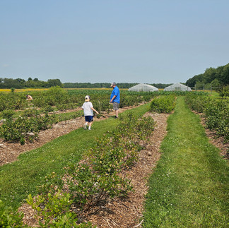 Double T Acres in Lake Shore, MN