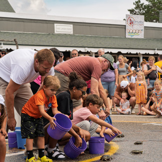 Nisswa Turtle Races 2025 | Nisswa, MN