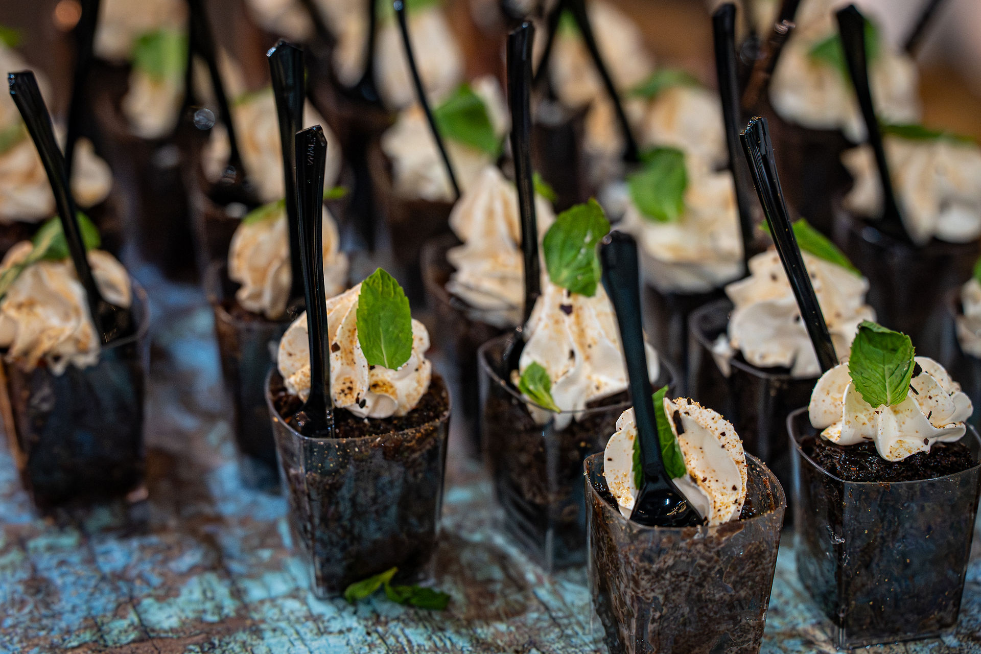Taste of the Lakes 2026 event at Northern Pacific Center