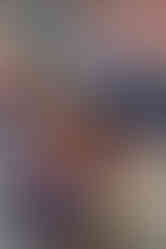 Nisswa Turtle Races 2025