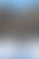 Families and kids enjoying the forest ice skating trail at Northland Arboretum on a winter afternoon