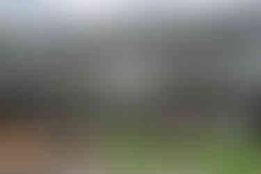 Nisswa Crazy Days 2025