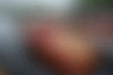 Scenes from the 2025 Gull Lake Classic at Bar Harbor Supper Club — a celebration of craftsmanship, history, and the timeless beauty of race boats on Gull Lake.