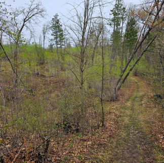 Fritz Loven Park in Lake Shore, MN