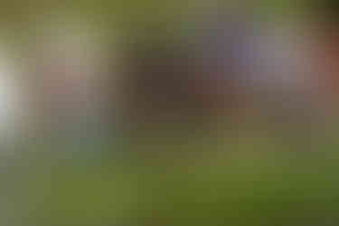 2025 Moonlite Bay Cardboard Boat Races