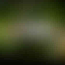 Vintage Larson and Crestliner boats on display at the 2025 Classic Larson Boat Show in Nisswa, Minnesota