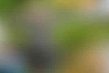 2025 Moonlite Bay Cardboard Boat Races