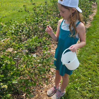 Double T Acres in Lake Shore, MN
