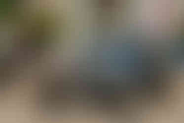 Classic cars and crowd scenes from the 7th Annual A&W Nisswa Cruisin' Night on July 5, 2025, in Nisswa, MN.