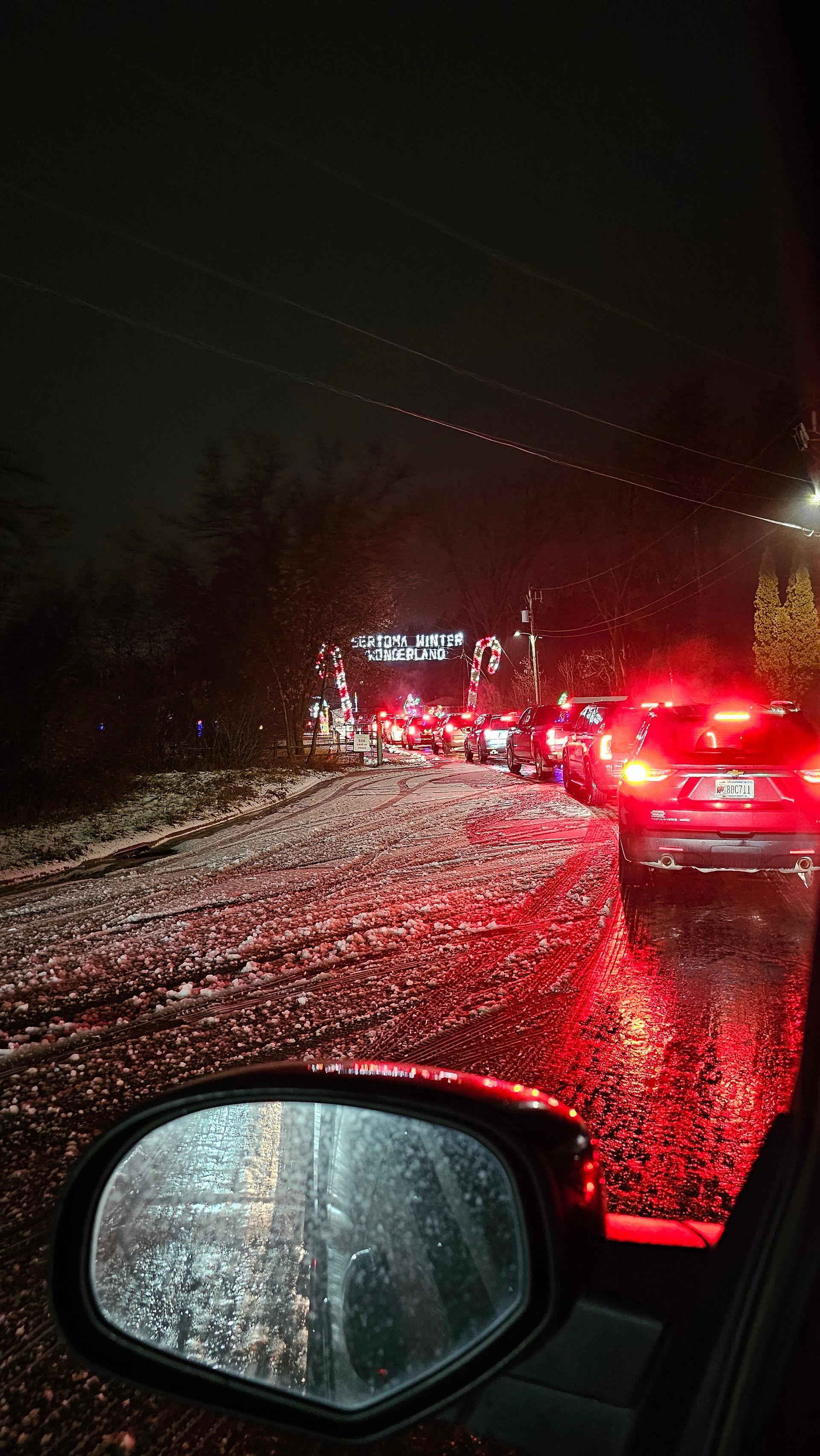 Winter Wonderland at the Northland Arboretum