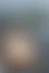 Scenes from the 2025 Gull Lake Classic at Bar Harbor Supper Club — a celebration of craftsmanship, history, and the timeless beauty of race boats on Gull Lake.