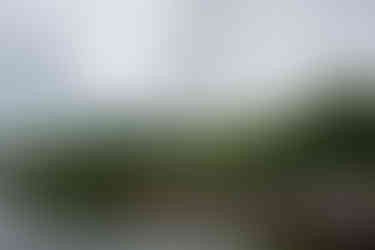 Scenes from the 2025 Gull Lake Classic at Bar Harbor Supper Club — a celebration of craftsmanship, history, and the timeless beauty of race boats on Gull Lake.