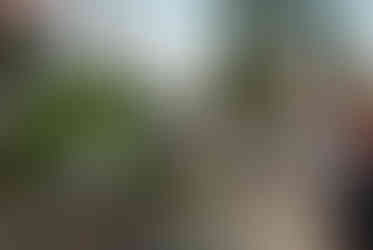 Classic cars and crowd scenes from the 7th Annual A&W Nisswa Cruisin' Night on July 5, 2025, in Nisswa, MN.