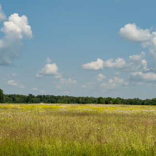 Double T Acres in Lake Shore, MN