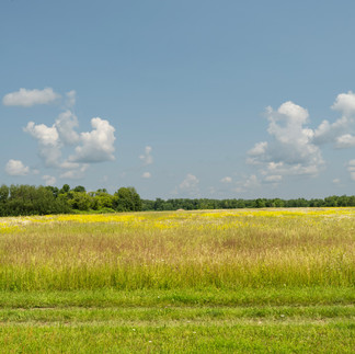 Double T Acres in Lake Shore, MN