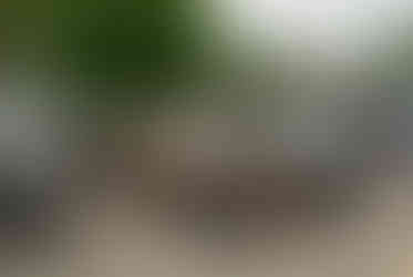 Classic cars and crowd scenes from the 7th Annual A&W Nisswa Cruisin' Night on July 5, 2025, in Nisswa, MN.