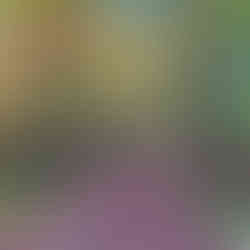 Best Fall Things to Do in Nisswa, Minnesota