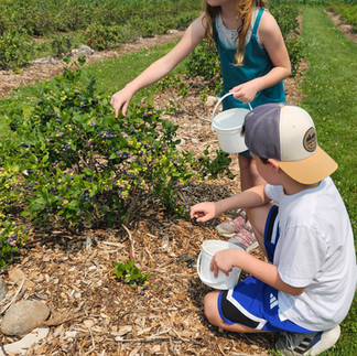 Double T Acres in Lake Shore, MN