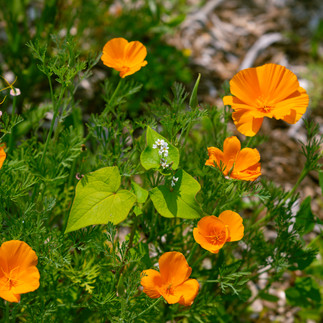 Double T Acres in Lake Shore, MN