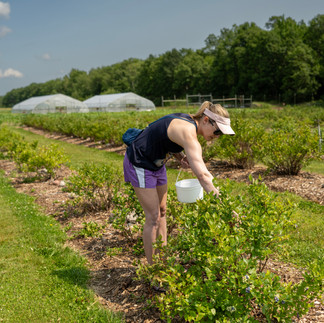 Double T Acres in Lake Shore, MN