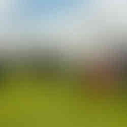 Vintage Larson and Crestliner boats on display at the 2025 Classic Larson Boat Show in Nisswa, Minnesota