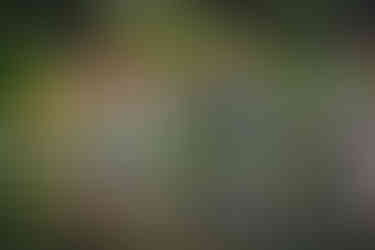 2025 Moonlite Bay Cardboard Boat Races