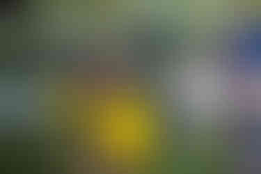 2025 Moonlite Bay Cardboard Boat Races