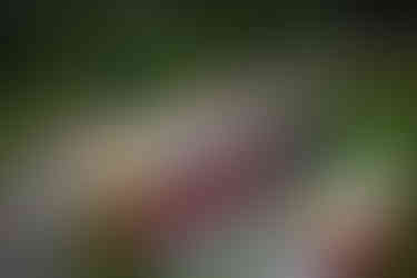 2025 Moonlite Bay Cardboard Boat Races