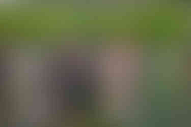 2025 Moonlite Bay Cardboard Boat Races