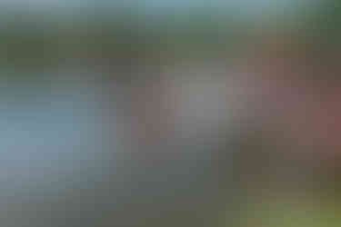 2025 Moonlite Bay Cardboard Boat Races