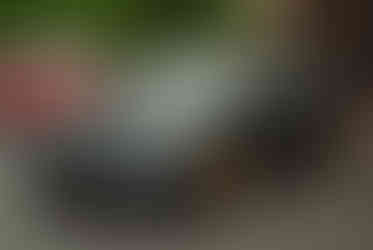 Classic cars and crowd scenes from the 7th Annual A&W Nisswa Cruisin' Night on July 5, 2025, in Nisswa, MN.