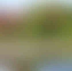 Best Fall Things to Do in Nisswa, Minnesota