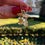 Miniatura: Sol