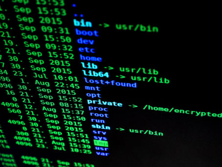 TYPES OF VULNERABILITIES