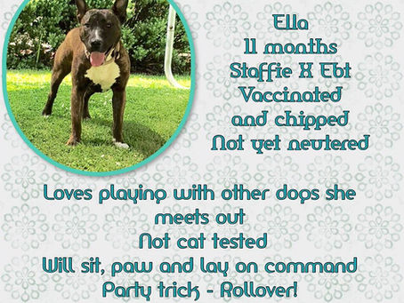 Ella, Ella, eh, eh, eh