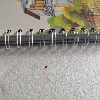 Thumbnail: Courtyard of Amorous Feeling Classification Notebook