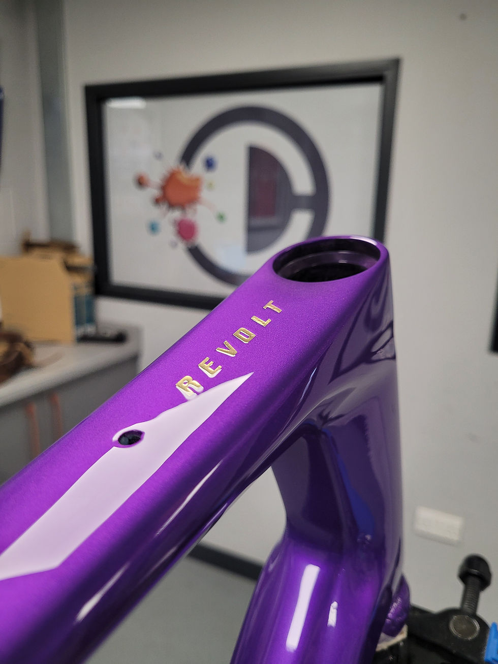 Giant Revolt Custom Paint job