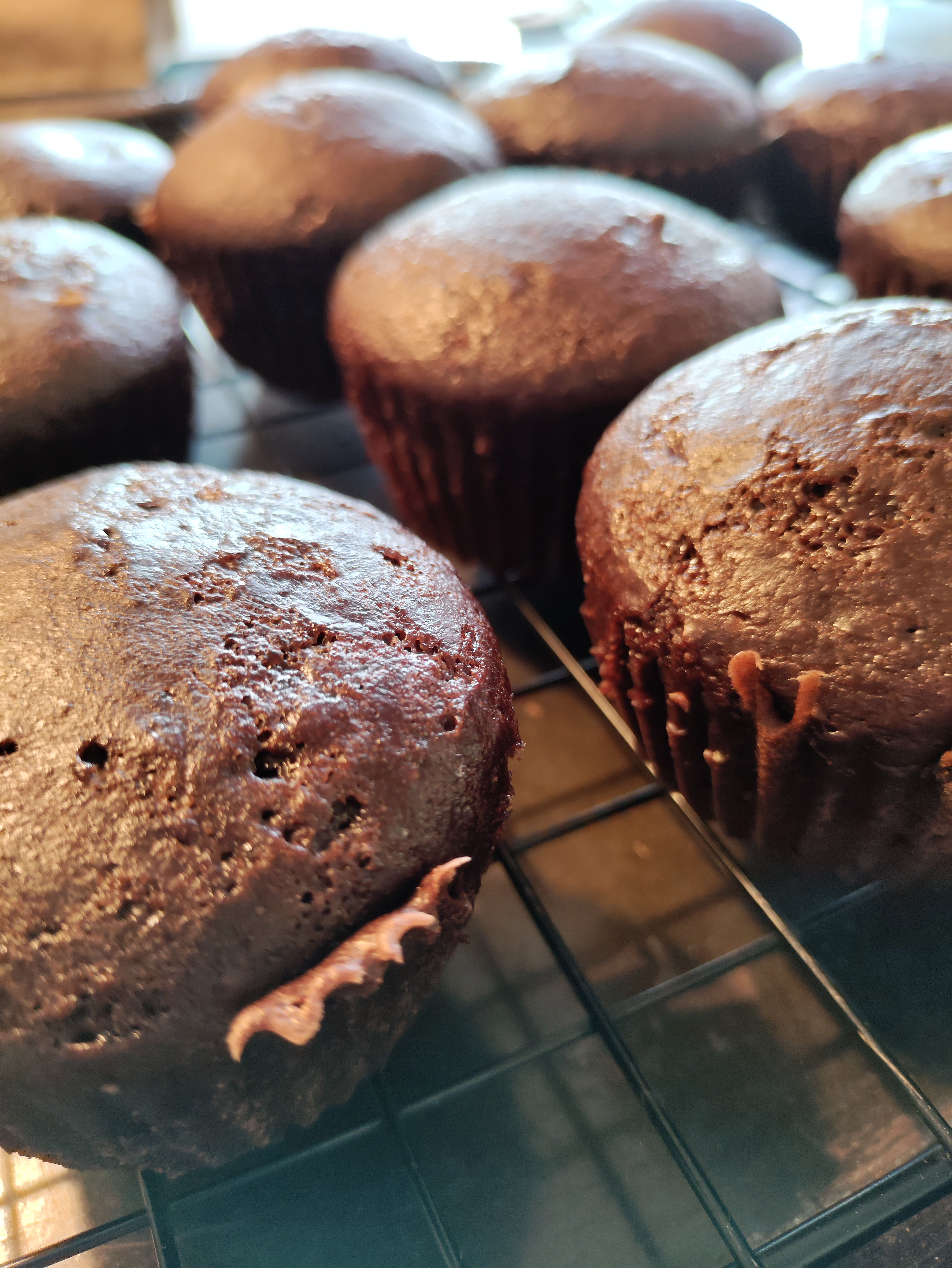 Docena de Cupcakes de Cacao