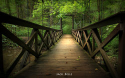 IMG_1329-A- The Bridge