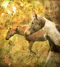 IMG_1553-Two  Horses-Fine'-Crop-II-Oil Paint