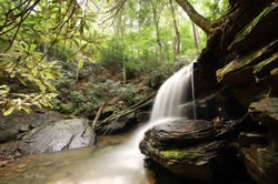 Copy of IMG_0992-Johnathon Falls-Fine'-LOW