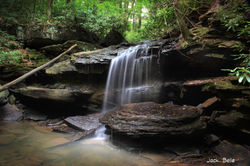 IMG_0487-AA-Fine'-Johnathon