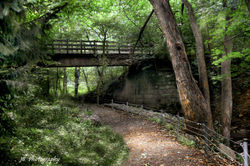 IMG_0227-Bridge Trail-FINE