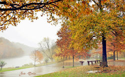 IMG_9572-AAAA-#1-Fine'