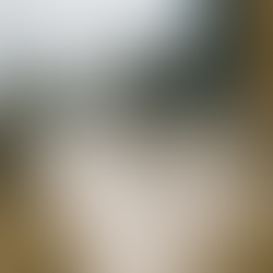 Money going up in smoke at a construction site