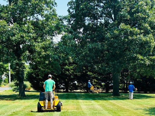 The Best Lawn Care Techniques for Weed Control in Lewes and Rehoboth, DE
