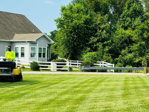 4 Precision Lawn Care Techniques for a Luxurious, Carpet-Like Lawn in Milton, DE