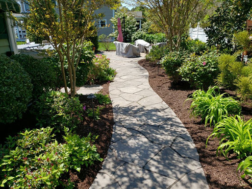 Choosing the Best Native Plantings for Georgetown, DE Landscaping