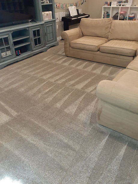 A newly clean carpet and sofa